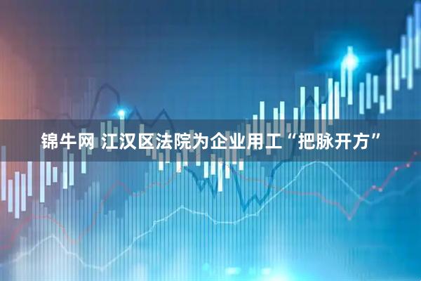 锦牛网 江汉区法院为企业用工“把脉开方”