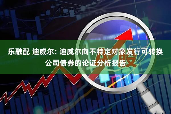 乐融配 迪威尔: 迪威尔向不特定对象发行可转换公司债券的论证分析报告