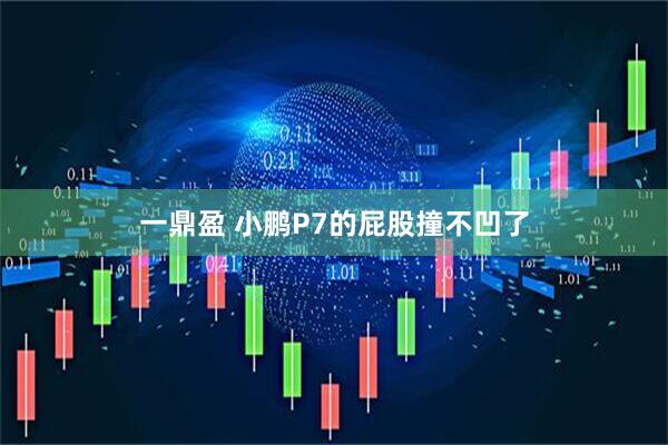 一鼎盈 小鹏P7的屁股撞不凹了